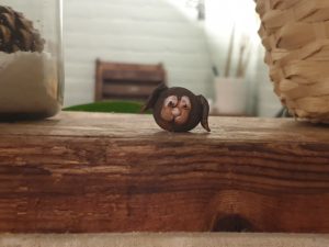 handgemaakt hondje van klei